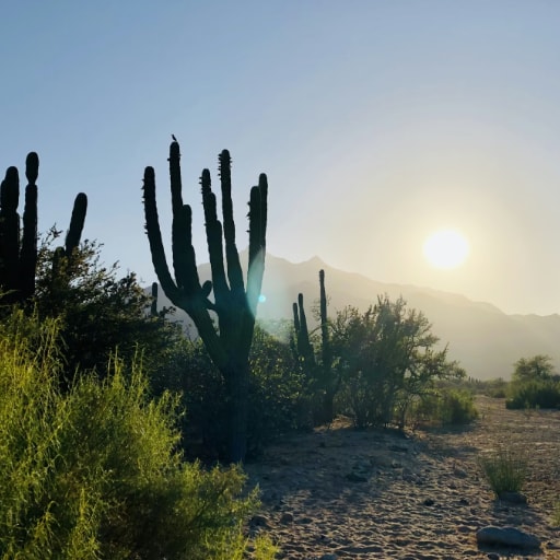 Minimalist living room with sea-facing glass walls